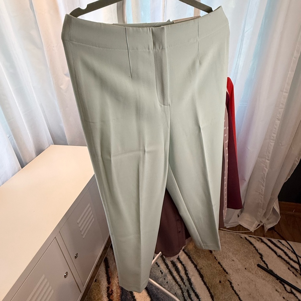 Ann Taylor The Slim Petite High Rise Curvy Mint Chino Pants